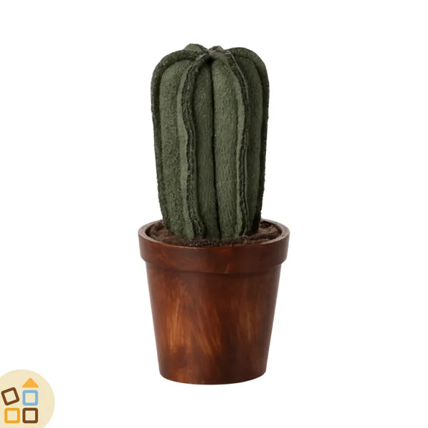 Cactus in Vaso in Miniatura