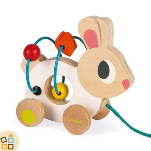 Coniglio Trainabile con Labirinto