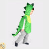 Costume Drago Verde