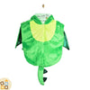 Costume Drago Verde