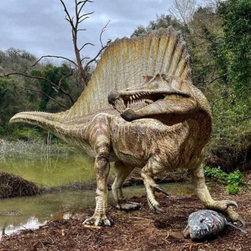 Costume Dinosauro - Tuta da Spinosauro (4-5 anni)