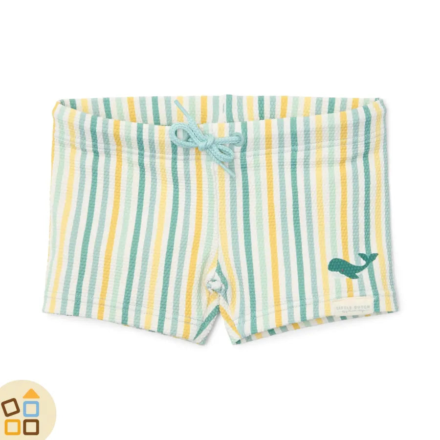 Costume Pantaloncino Boxer, Righe Multi-Color - Main Image