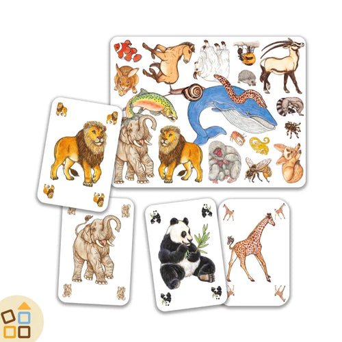 gioco-zanimatch-djeco-DJ05153-osservazione-prontezza-animali_3