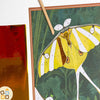 Kit Artistico Carte Fantastiche, Farfalle