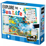 Explore the Sea Life - Scopri gli Animali del Mare
