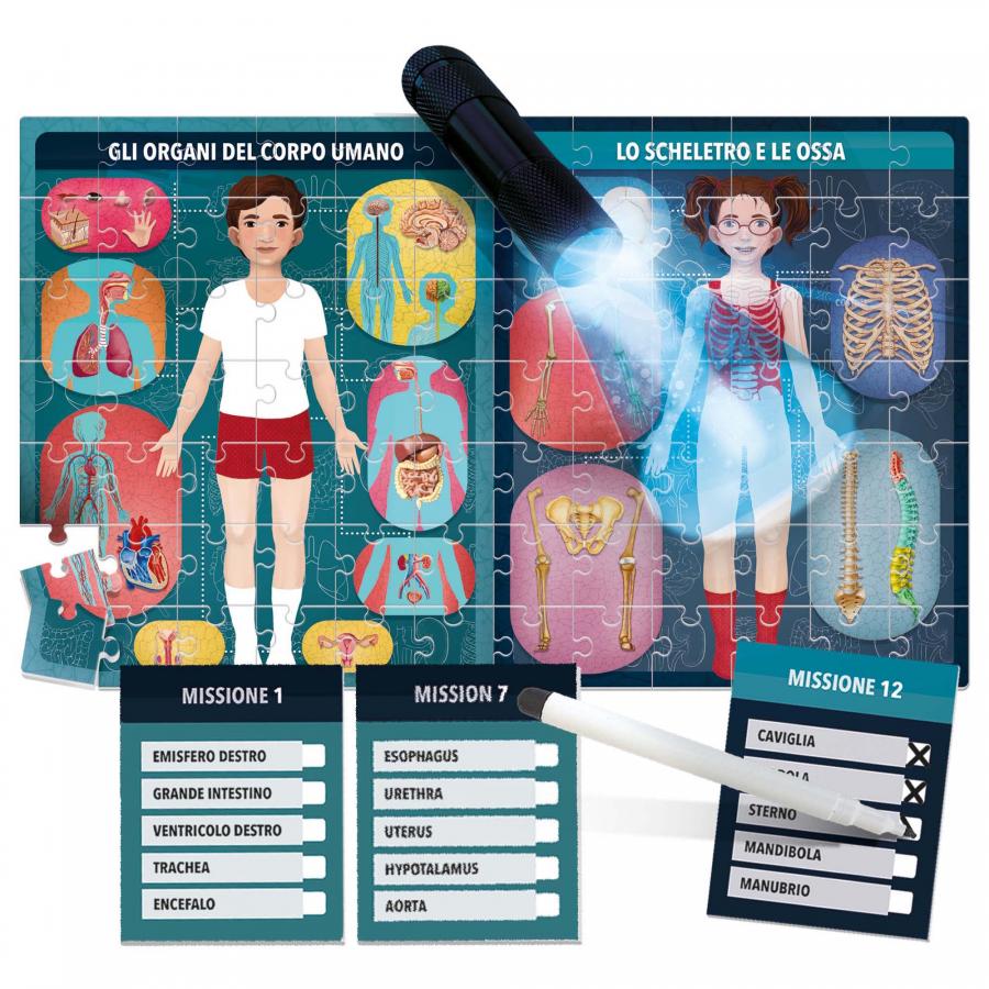 Headu, Puzzle - Il corpo umano ai Raggi X, , Giochi di Società