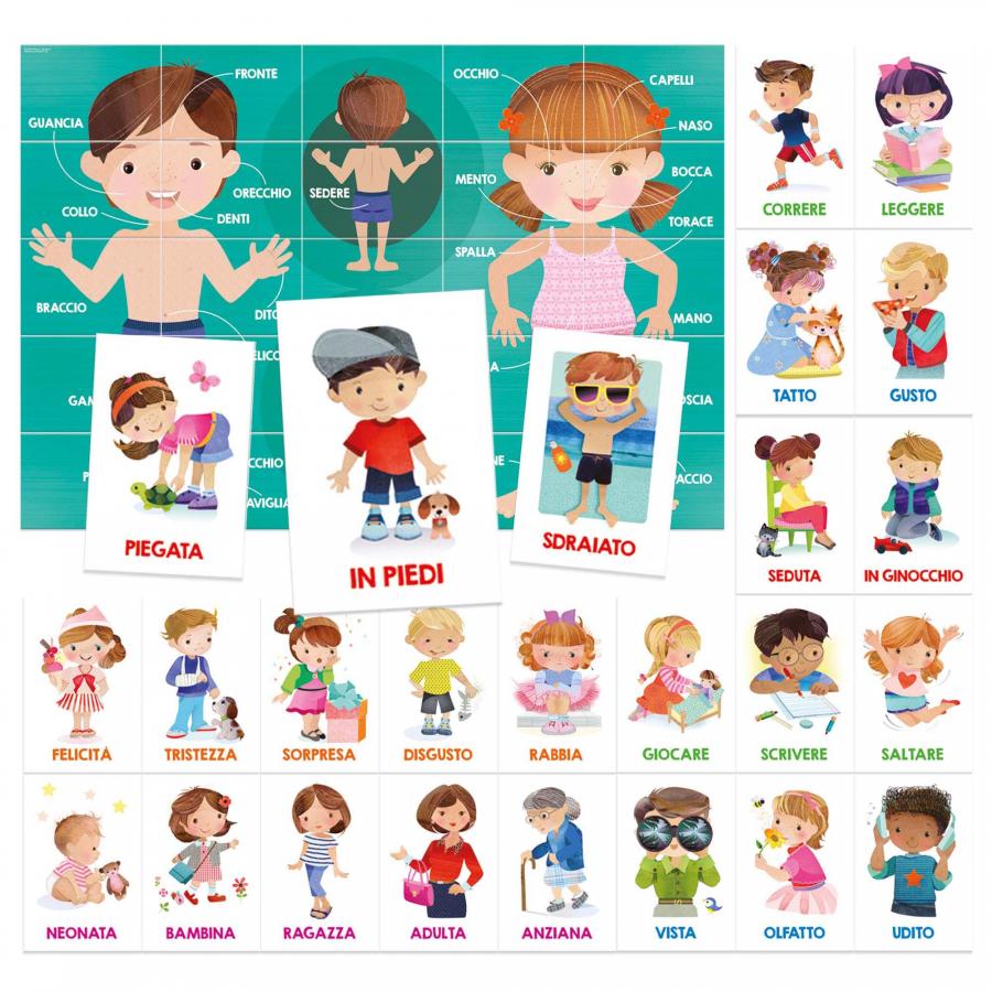 Headu, Puzzle - Il corpo umano - Flashcards, , Giochi di Società