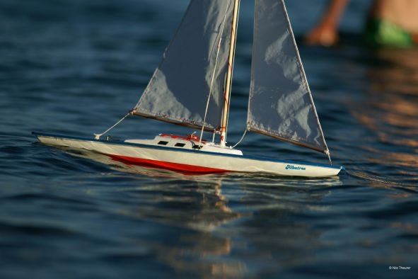 Barca a Vela giocattolo - Albatros