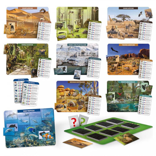 headu-IT21512-tombola-animali-foto1-cgedu-centro-gioco-educativo